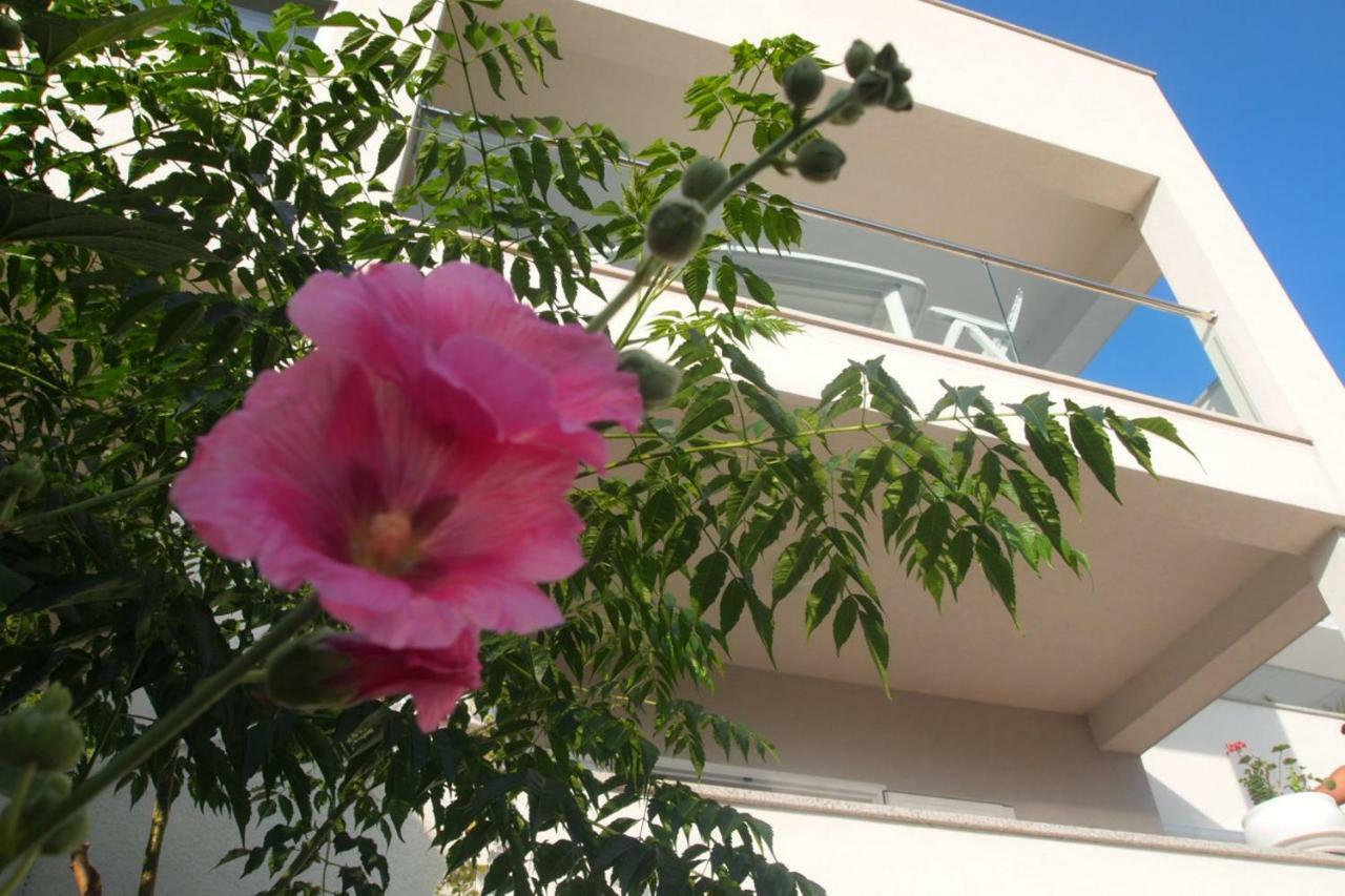 Open Hus Apartment Krvavica Luaran gambar